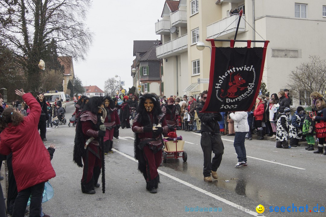 Rosenmontagsumzug: Gottmadingen am Bodensee, 11.02.2013