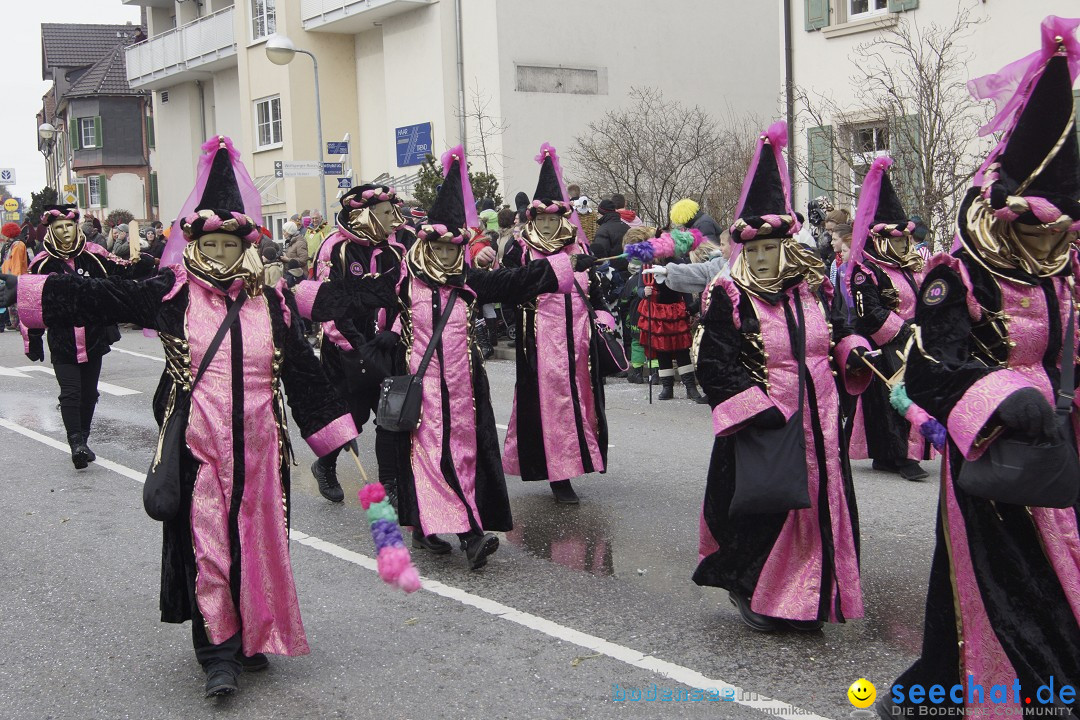 Rosenmontagsumzug: Gottmadingen am Bodensee, 11.02.2013