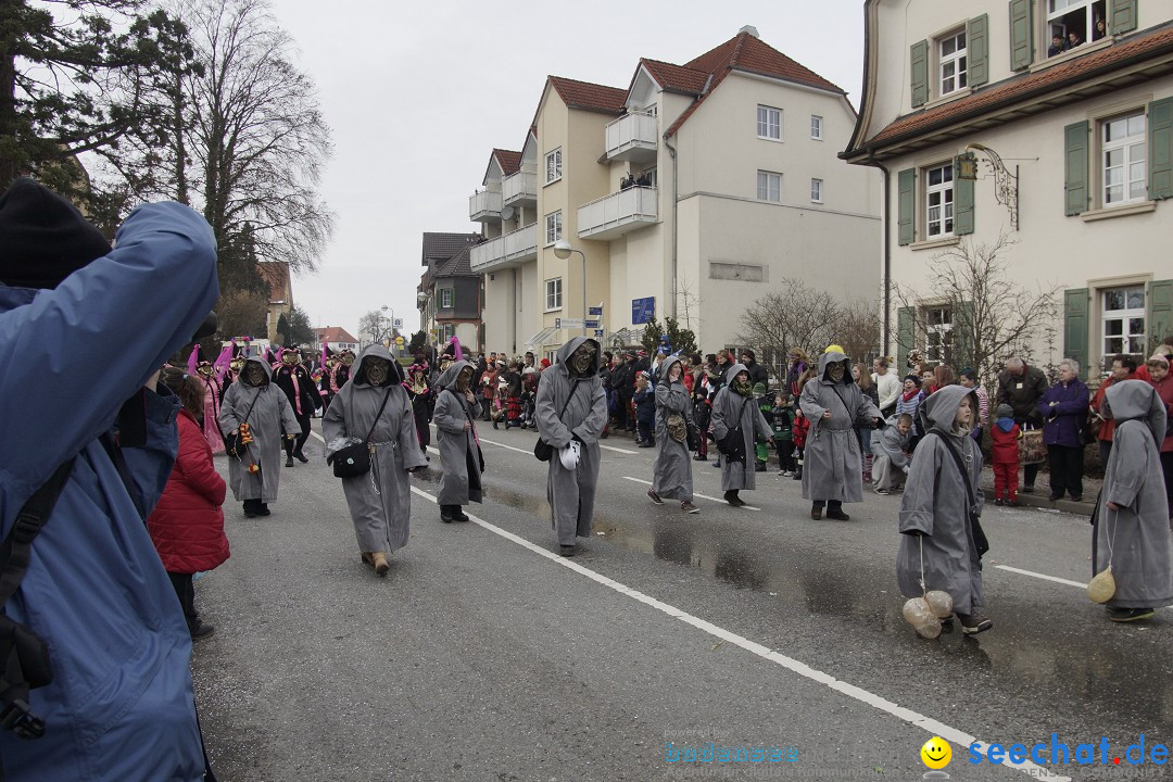 Rosenmontagsumzug: Gottmadingen am Bodensee, 11.02.2013