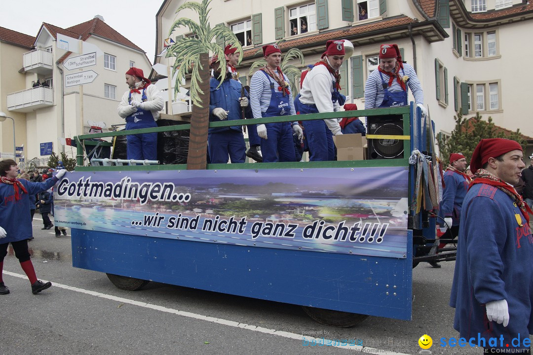 Rosenmontagsumzug: Gottmadingen am Bodensee, 11.02.2013