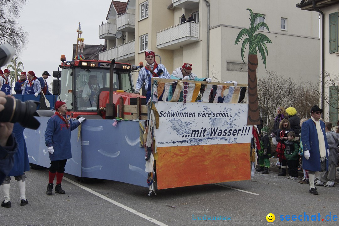 Rosenmontagsumzug: Gottmadingen am Bodensee, 11.02.2013