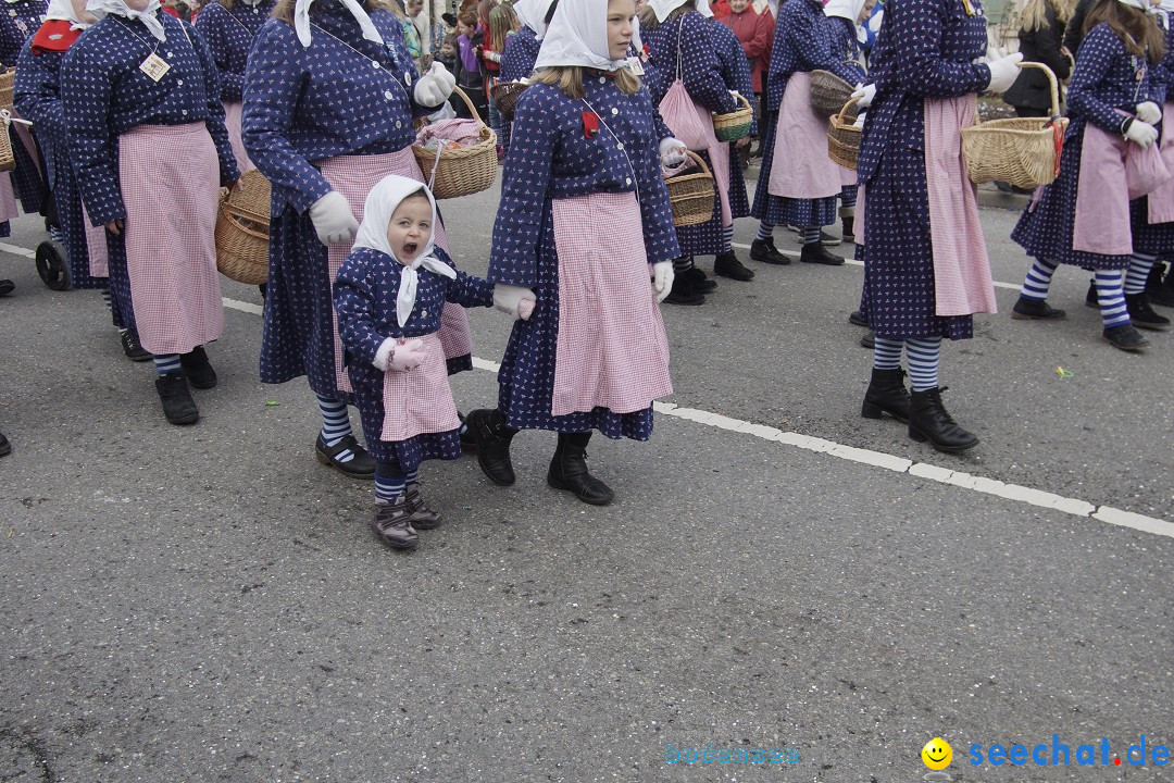 Rosenmontagsumzug: Gottmadingen am Bodensee, 11.02.2013