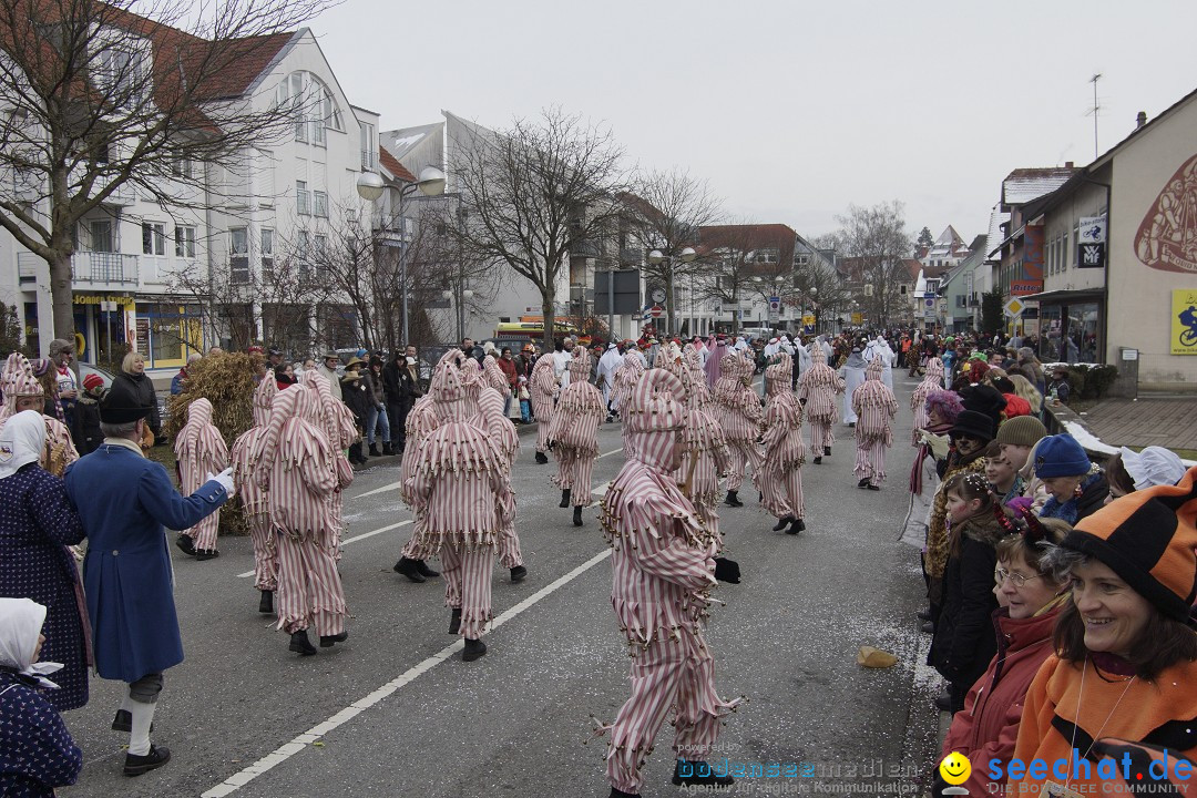 Rosenmontagsumzug: Gottmadingen am Bodensee, 11.02.2013