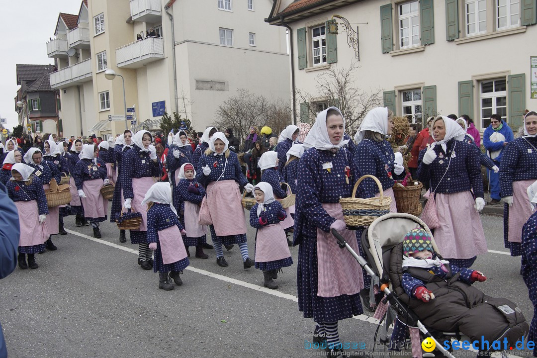 Rosenmontagsumzug: Gottmadingen am Bodensee, 11.02.2013