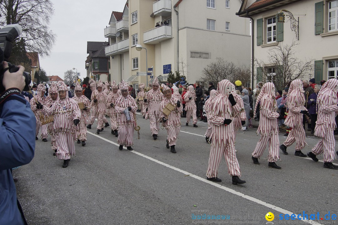 Rosenmontagsumzug: Gottmadingen am Bodensee, 11.02.2013