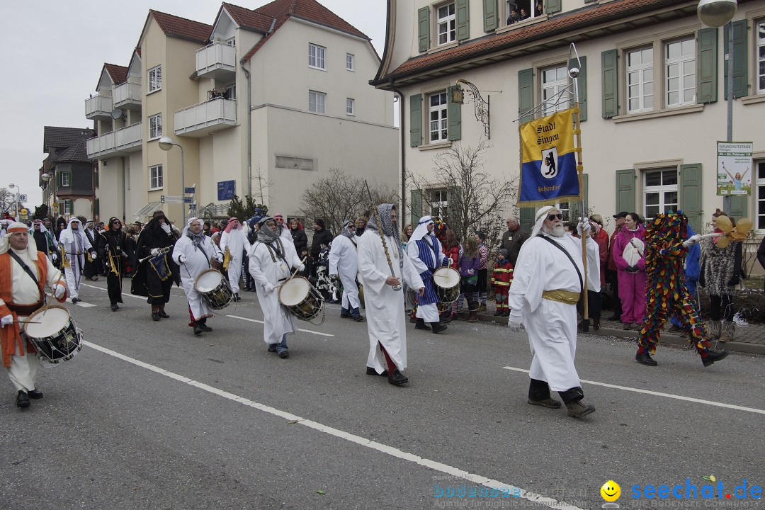 Rosenmontagsumzug: Gottmadingen am Bodensee, 11.02.2013