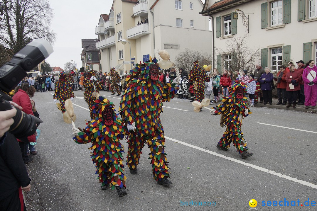 Rosenmontagsumzug: Gottmadingen am Bodensee, 11.02.2013