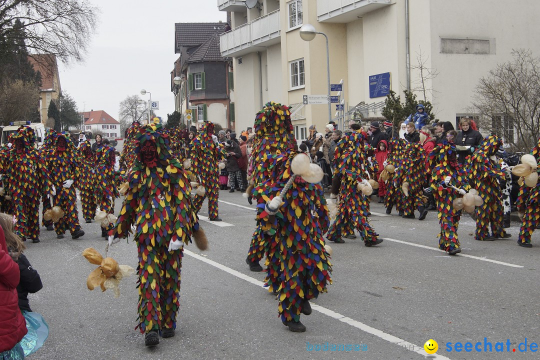 Rosenmontagsumzug: Gottmadingen am Bodensee, 11.02.2013