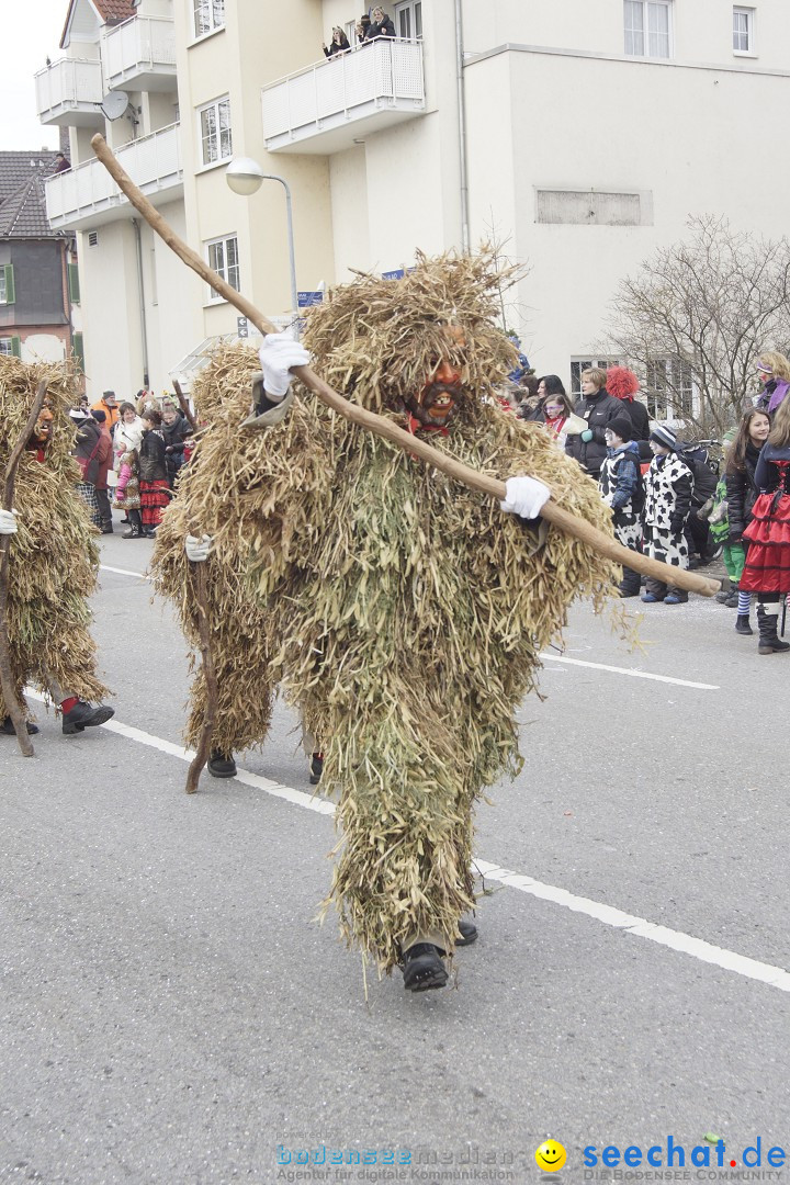 Rosenmontagsumzug: Gottmadingen am Bodensee, 11.02.2013