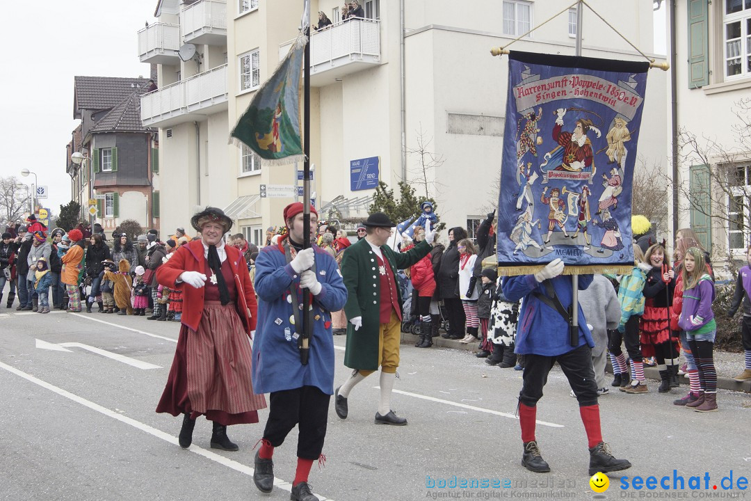 Rosenmontagsumzug: Gottmadingen am Bodensee, 11.02.2013