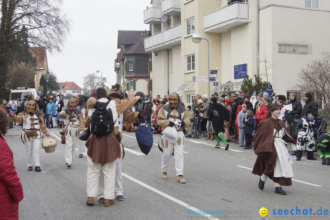 Rosenmontagsumzug: Gottmadingen am Bodensee, 11.02.2013