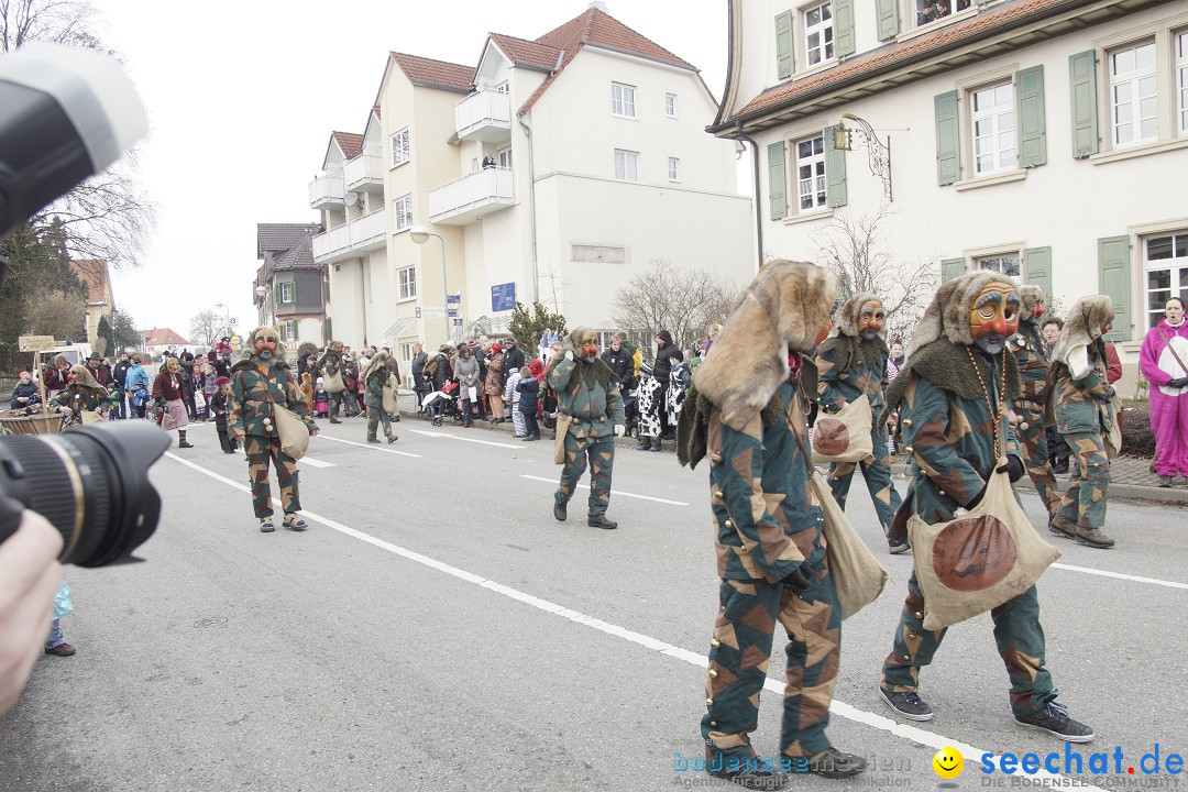 Rosenmontagsumzug: Gottmadingen am Bodensee, 11.02.2013