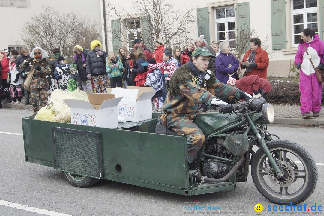 Rosenmontagsumzug: Gottmadingen am Bodensee, 11.02.2013