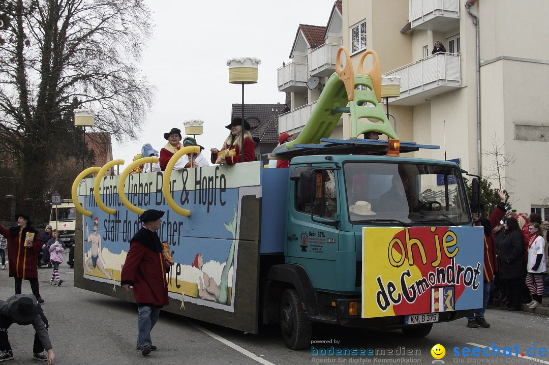 Rosenmontagsumzug: Gottmadingen am Bodensee, 11.02.2013