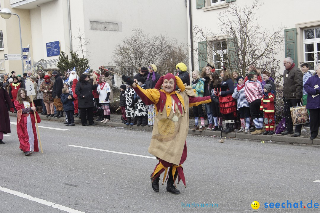 Rosenmontagsumzug: Gottmadingen am Bodensee, 11.02.2013