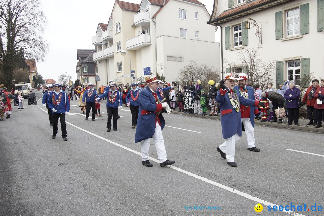 Rosenmontagsumzug: Gottmadingen am Bodensee, 11.02.2013