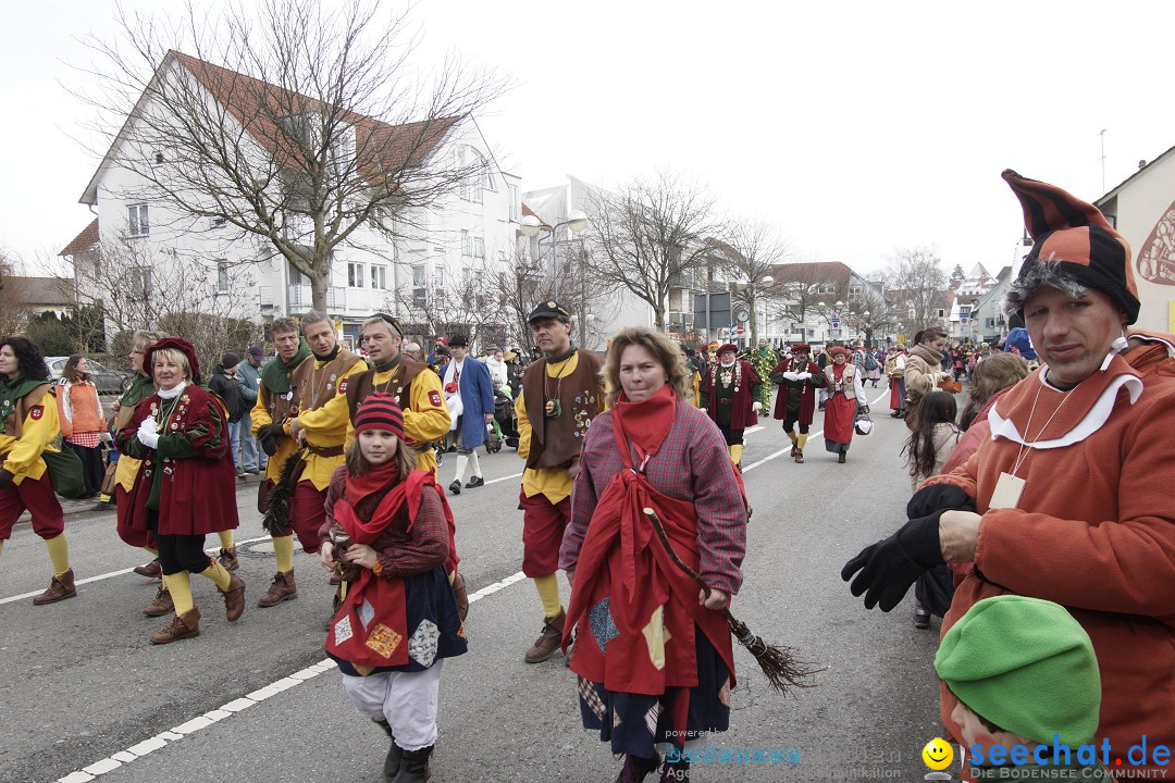 Rosenmontagsumzug: Gottmadingen am Bodensee, 11.02.2013