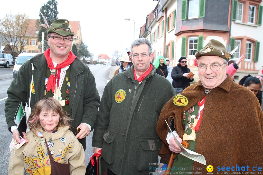 Rosenmontagsumzug: Gottmadingen am Bodensee, 11.02.2013