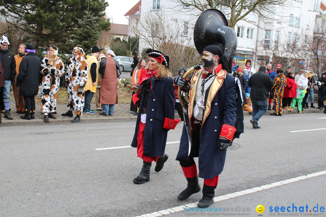 Rosenmontagsumzug: Gottmadingen am Bodensee, 11.02.2013