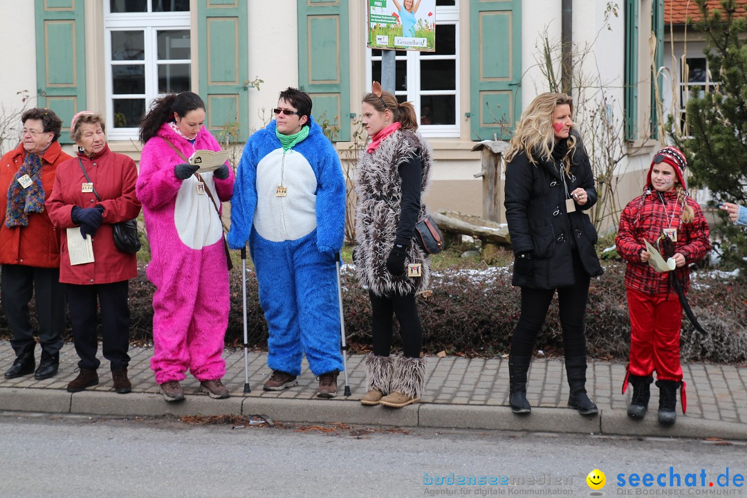 Rosenmontagsumzug: Gottmadingen am Bodensee, 11.02.2013