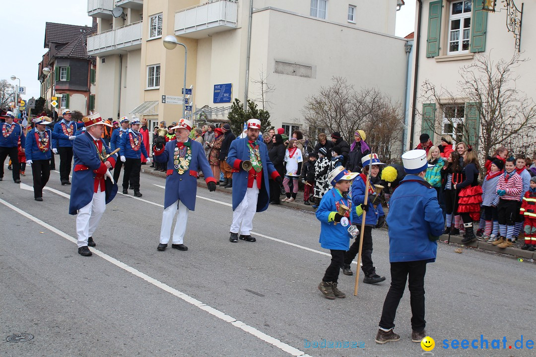 Rosenmontagsumzug: Gottmadingen am Bodensee, 11.02.2013