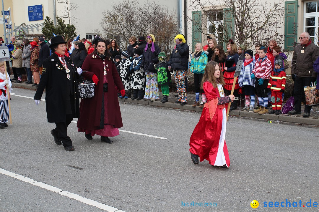 Rosenmontagsumzug: Gottmadingen am Bodensee, 11.02.2013