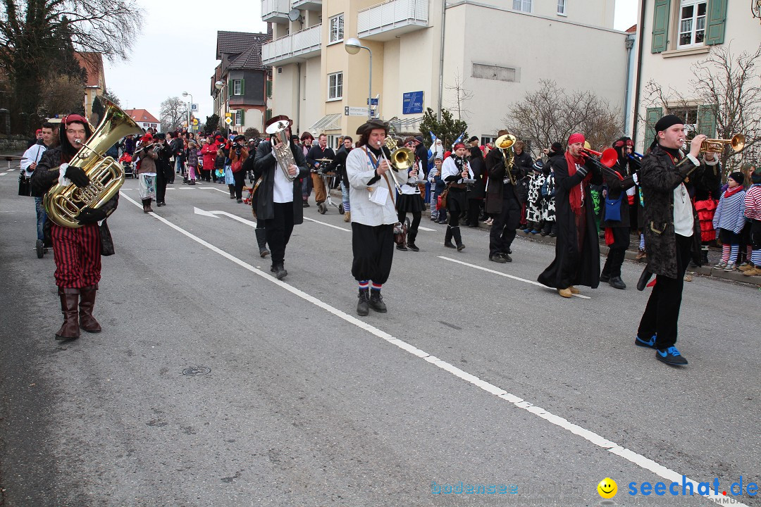 Rosenmontagsumzug: Gottmadingen am Bodensee, 11.02.2013