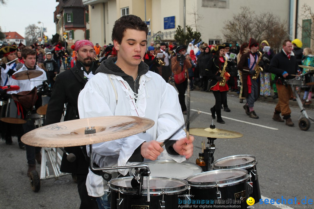 Rosenmontagsumzug: Gottmadingen am Bodensee, 11.02.2013