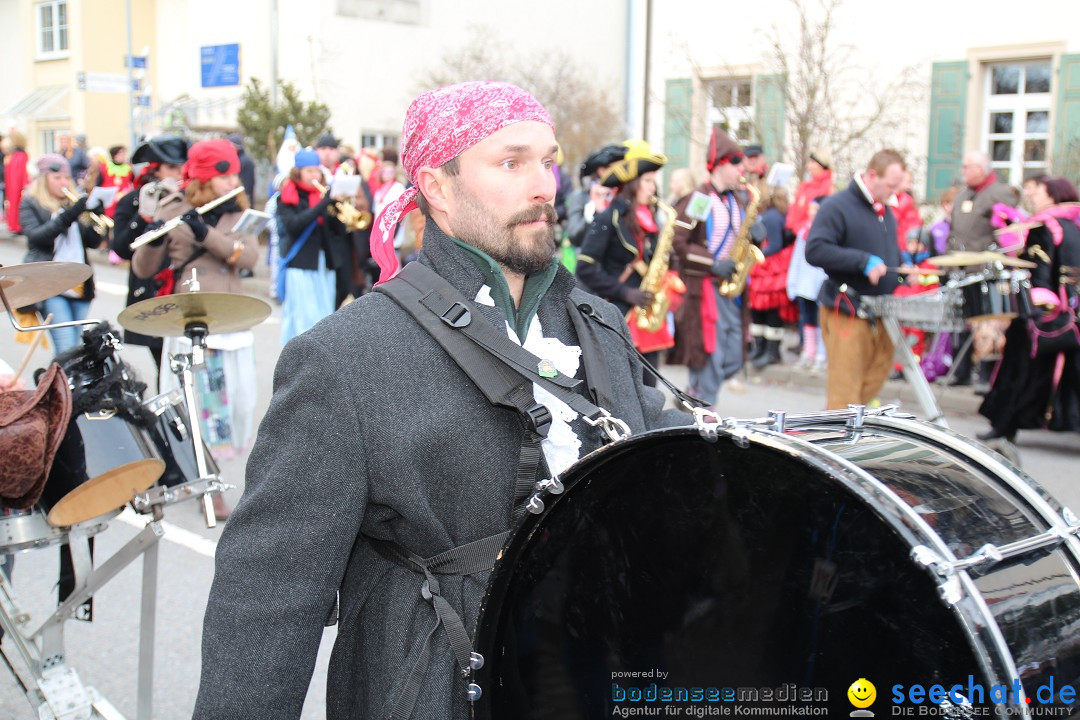 Rosenmontagsumzug: Gottmadingen am Bodensee, 11.02.2013