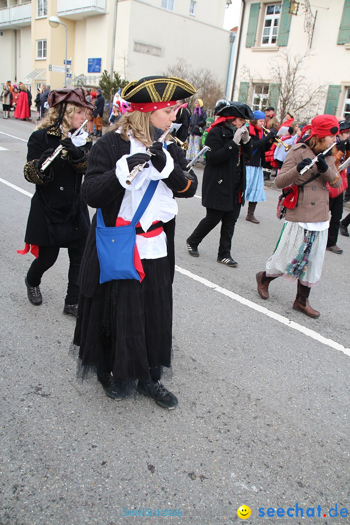 Rosenmontagsumzug: Gottmadingen am Bodensee, 11.02.2013