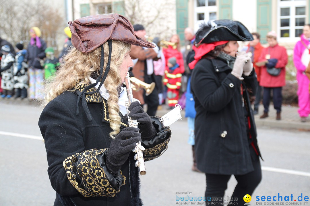 Rosenmontagsumzug: Gottmadingen am Bodensee, 11.02.2013