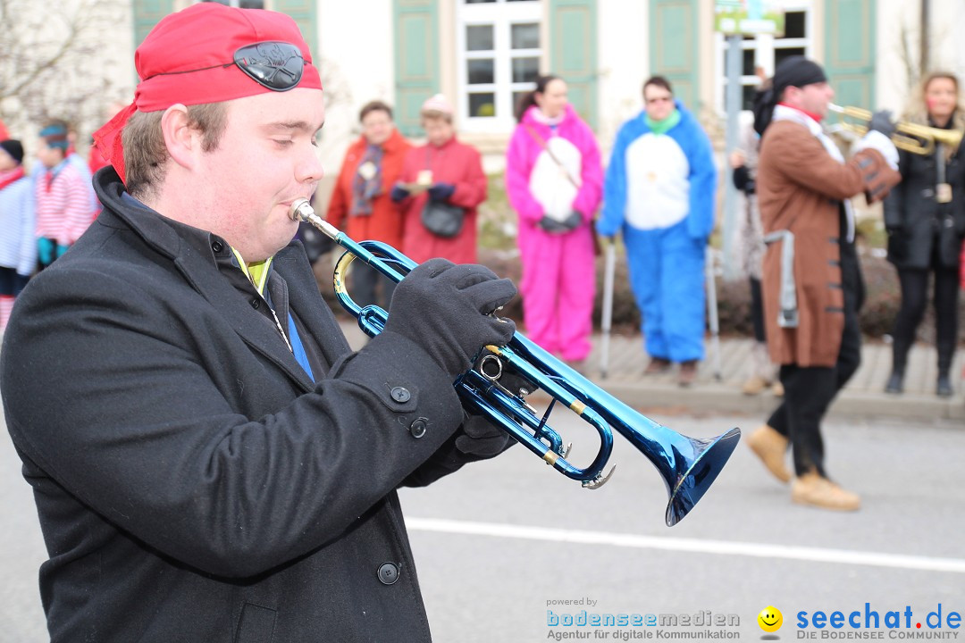 Rosenmontagsumzug: Gottmadingen am Bodensee, 11.02.2013