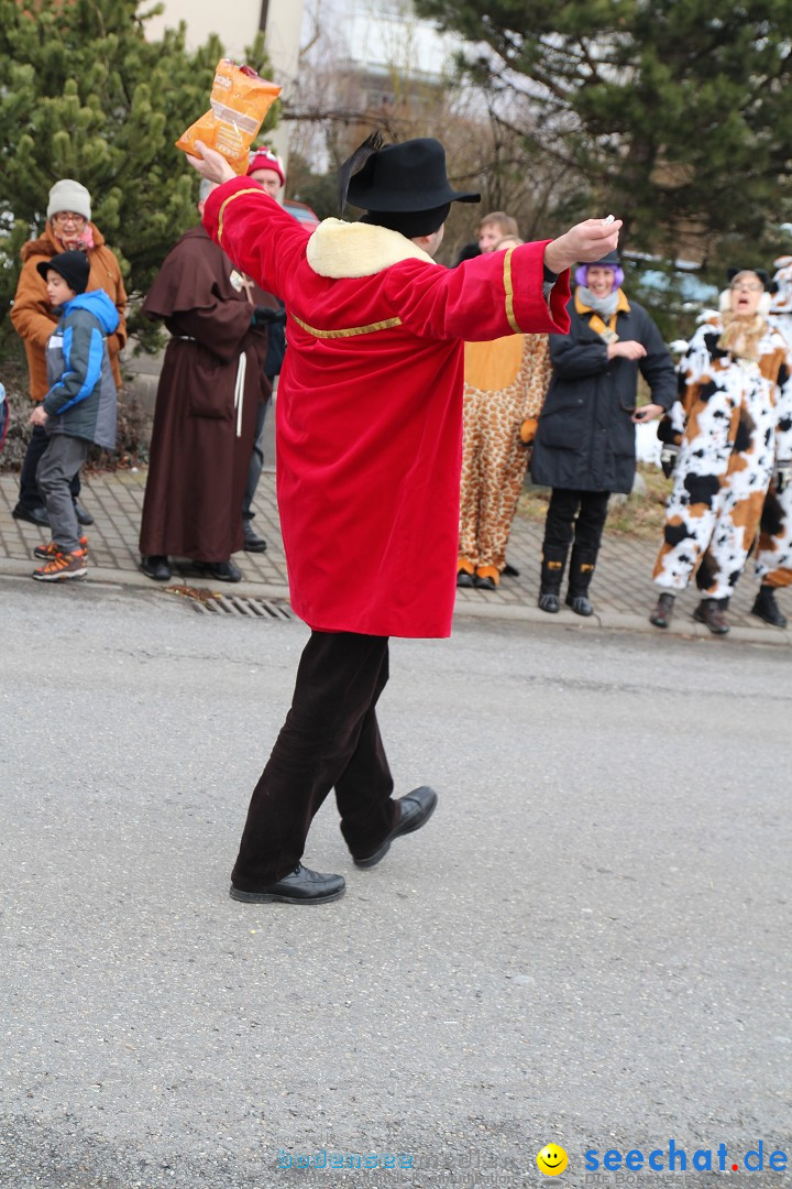 Rosenmontagsumzug: Gottmadingen am Bodensee, 11.02.2013