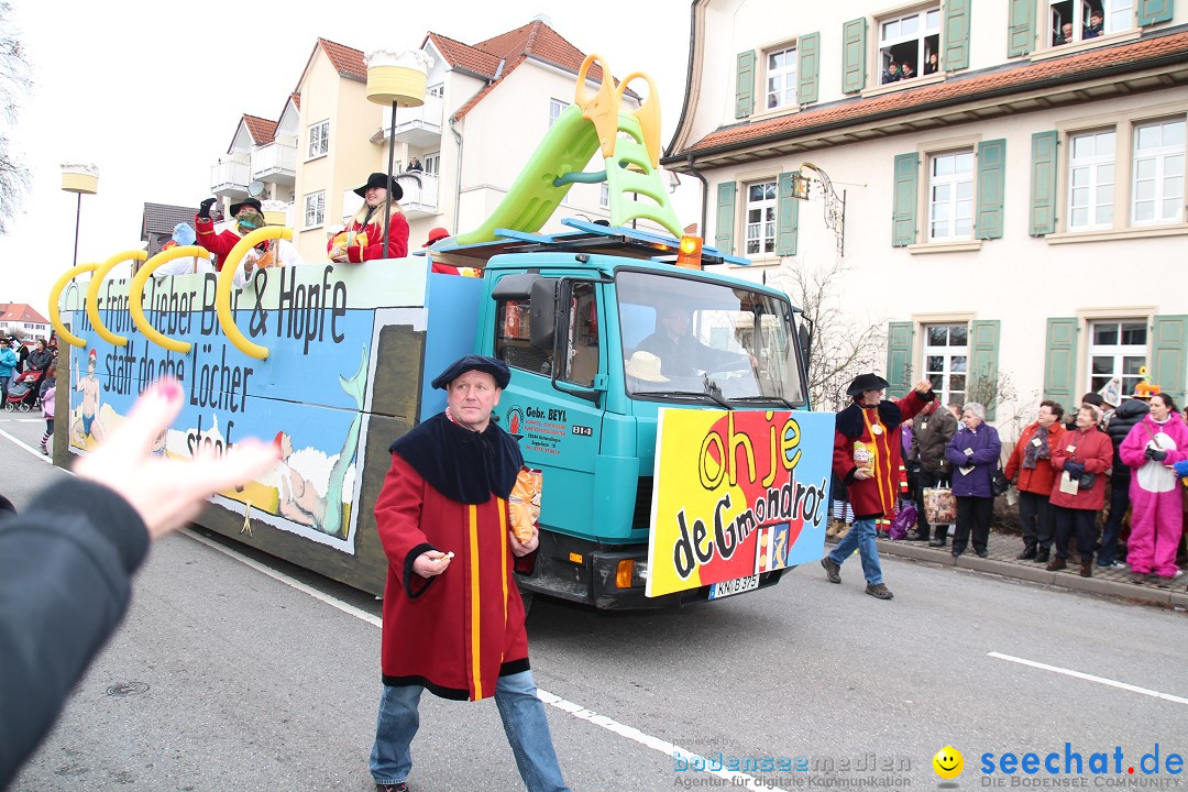 Rosenmontagsumzug: Gottmadingen am Bodensee, 11.02.2013