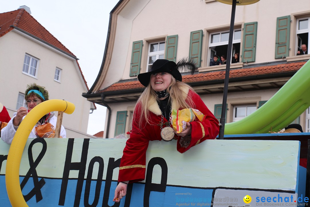 Rosenmontagsumzug: Gottmadingen am Bodensee, 11.02.2013