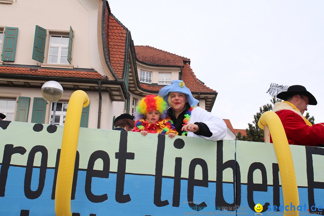 Rosenmontagsumzug: Gottmadingen am Bodensee, 11.02.2013