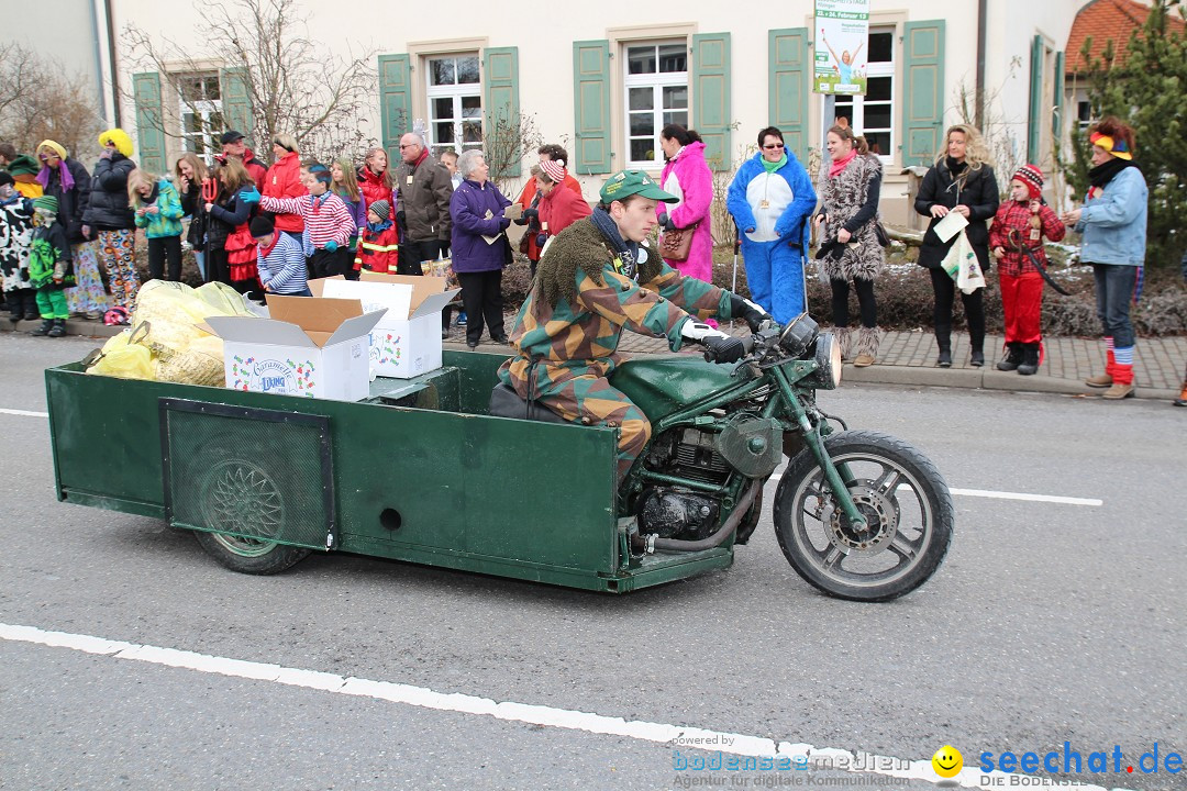 Rosenmontagsumzug: Gottmadingen am Bodensee, 11.02.2013