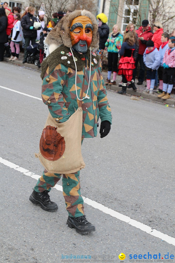 Rosenmontagsumzug: Gottmadingen am Bodensee, 11.02.2013