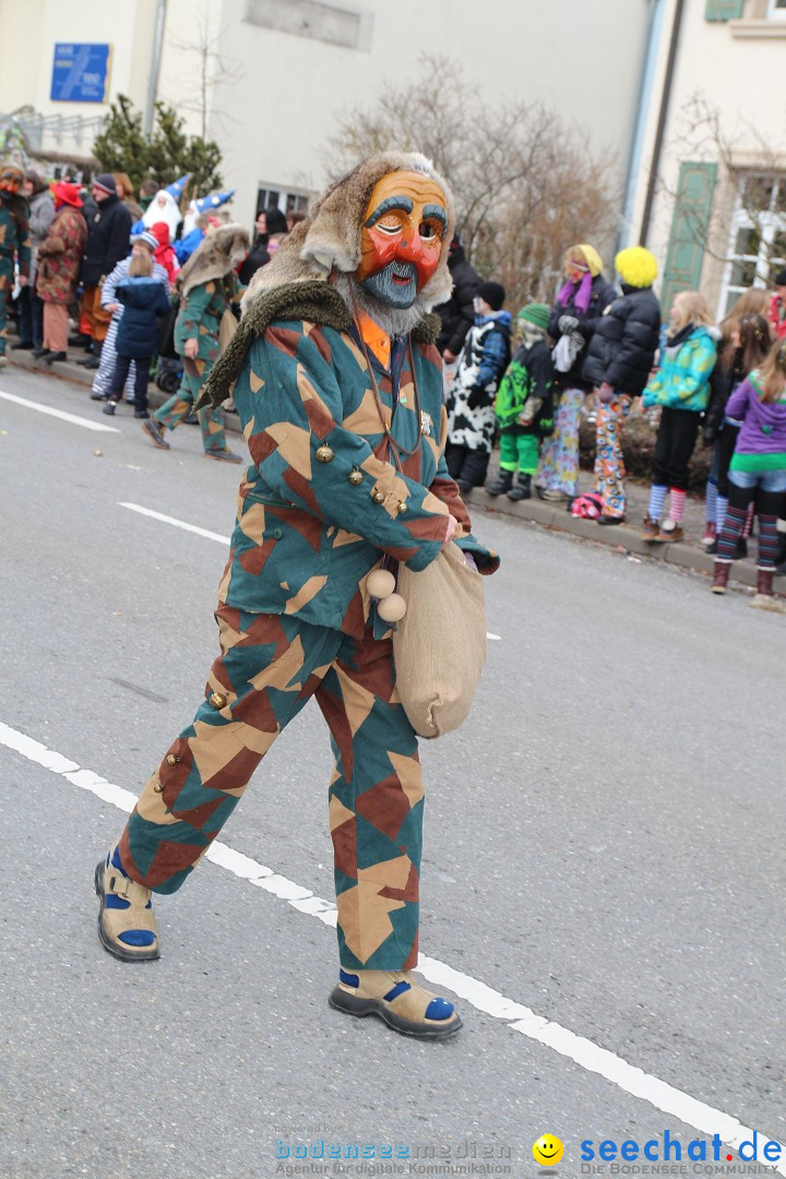 Rosenmontagsumzug: Gottmadingen am Bodensee, 11.02.2013