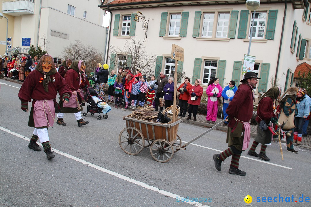 Rosenmontagsumzug: Gottmadingen am Bodensee, 11.02.2013