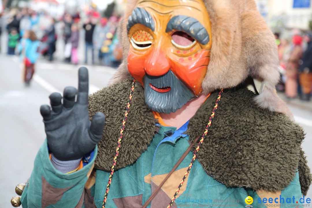 Rosenmontagsumzug: Gottmadingen am Bodensee, 11.02.2013