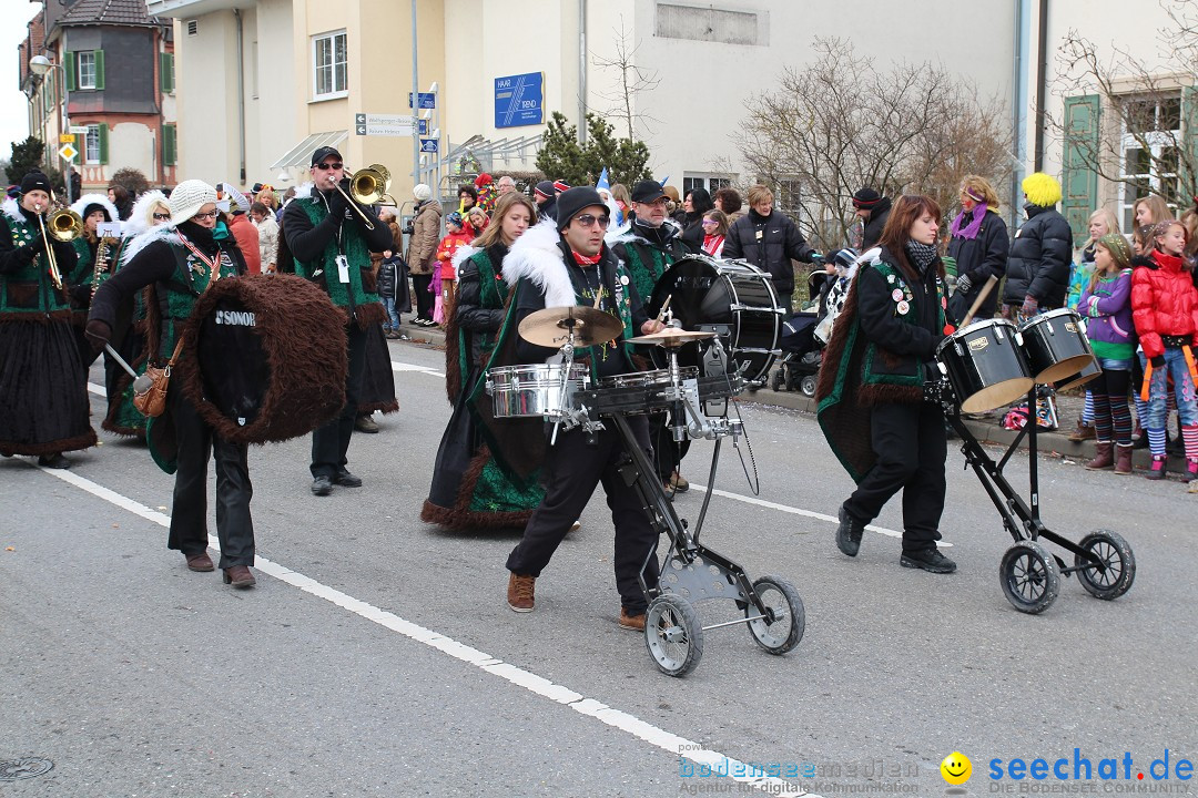 Rosenmontagsumzug: Gottmadingen am Bodensee, 11.02.2013