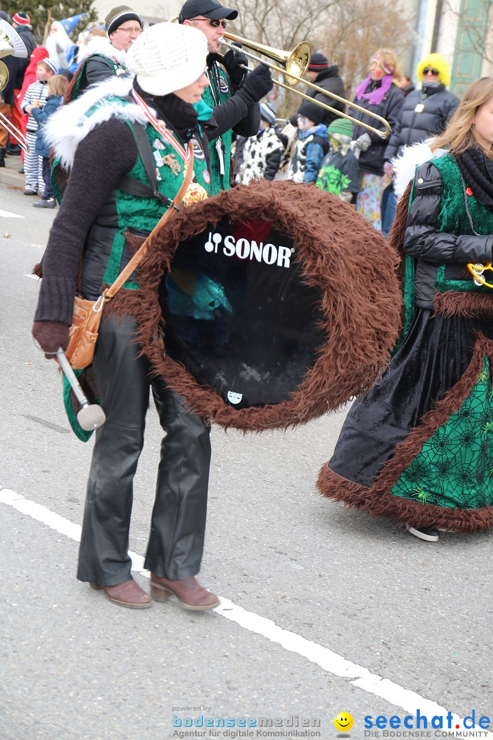 Rosenmontagsumzug: Gottmadingen am Bodensee, 11.02.2013