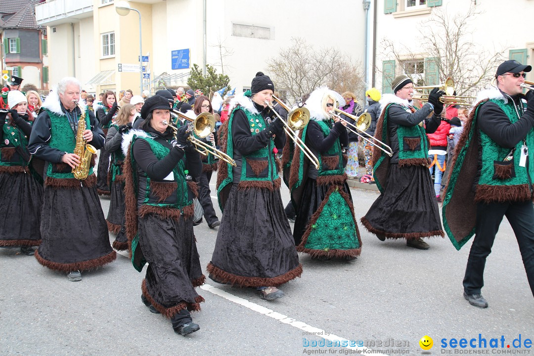 Rosenmontagsumzug: Gottmadingen am Bodensee, 11.02.2013