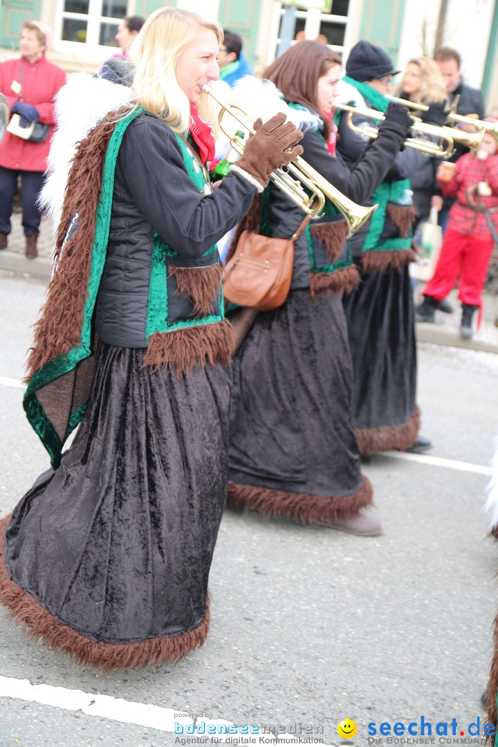 Rosenmontagsumzug: Gottmadingen am Bodensee, 11.02.2013