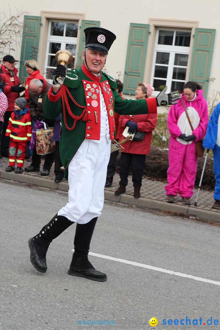 Rosenmontagsumzug: Gottmadingen am Bodensee, 11.02.2013