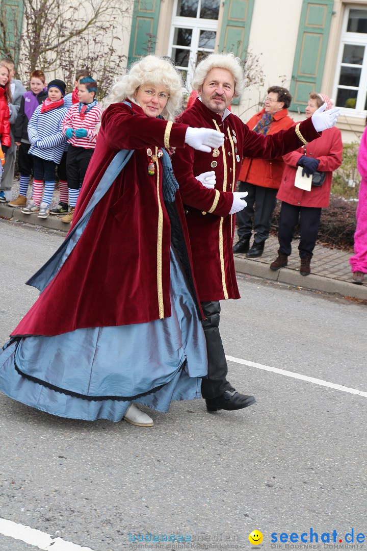 Rosenmontagsumzug: Gottmadingen am Bodensee, 11.02.2013