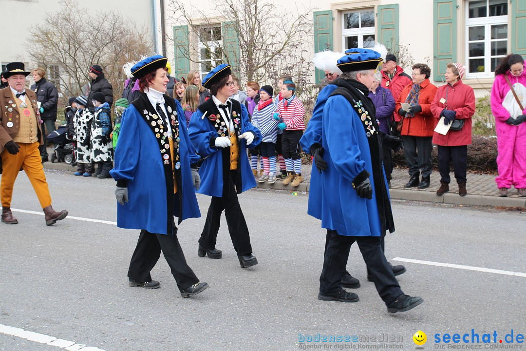 Rosenmontagsumzug: Gottmadingen am Bodensee, 11.02.2013