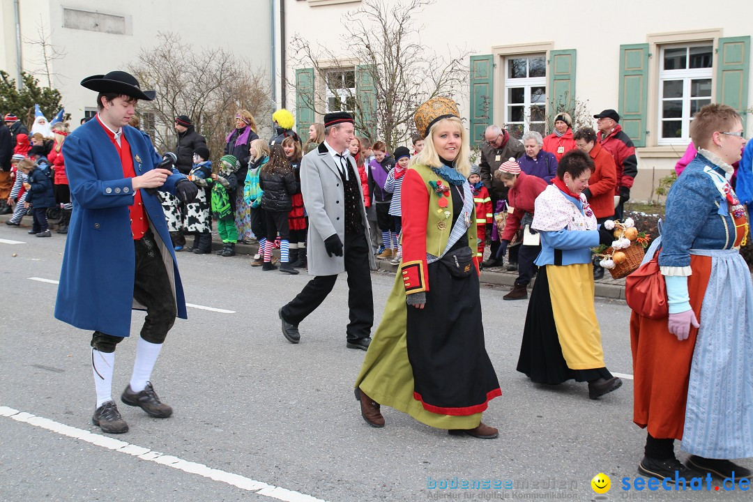 Rosenmontagsumzug: Gottmadingen am Bodensee, 11.02.2013