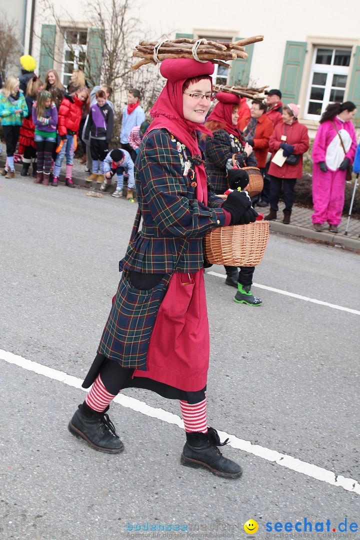 Rosenmontagsumzug: Gottmadingen am Bodensee, 11.02.2013